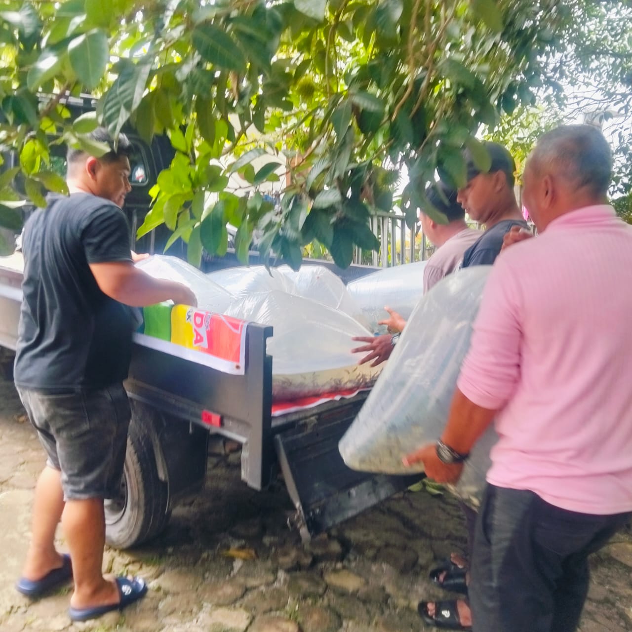 BANTUAN BIBIT IKAN DARI DINAS PERIKANAN DAN PETERNAKAN KOTA MEDAN KEPADA KEL.SEI SIKAMBING B KEC. MEDAN SUNGGAL